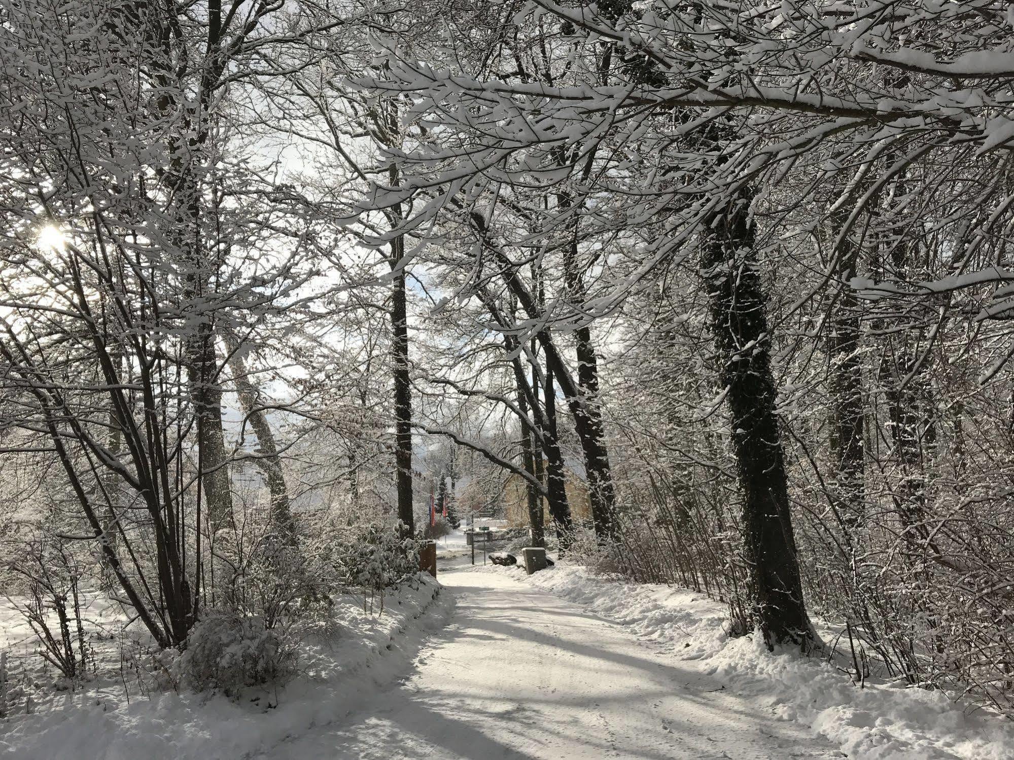 Turmvilla Bad Muskau Bagian luar foto